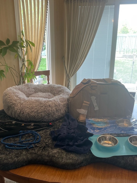 Pecute Other - Pecute pet travel bundle with Plush Round Light Gray Pet bed